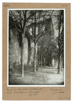 Vorschaubild Limburg an der Hardt: Benediktinerklosterkirche, Ruine, südliche Seitenschiff und Querschiff